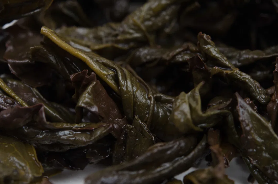 Fresh Da Hong Pao Unique Dahongpao Oolong Big Red Robe High Quality