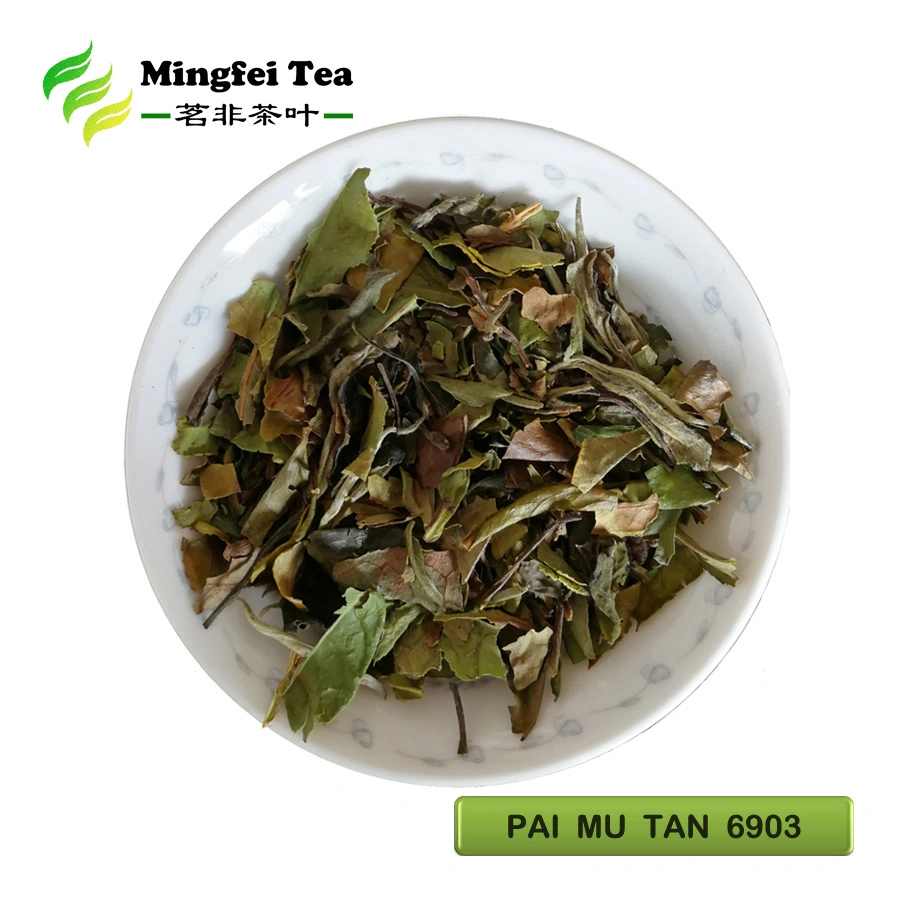 White Peony Tea White Tea Chinese Green tea Best Fermented Organic PAI MU TAN 6900/6902/6903 (Europe/America)