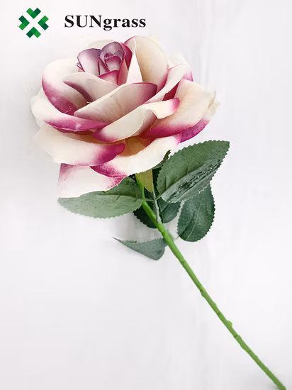 Травяной чай Роза Чай Улун Китай ароматизированный листовой цветок розы